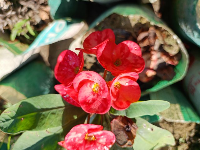 IMG20241120111458.jpg