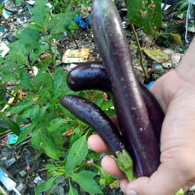 20250713_065620.jpg
