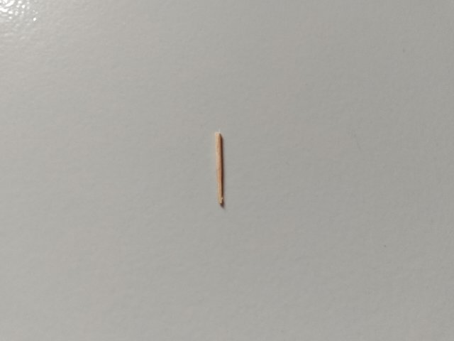 1000056482.jpg
