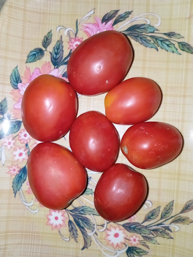 1000115457.jpg