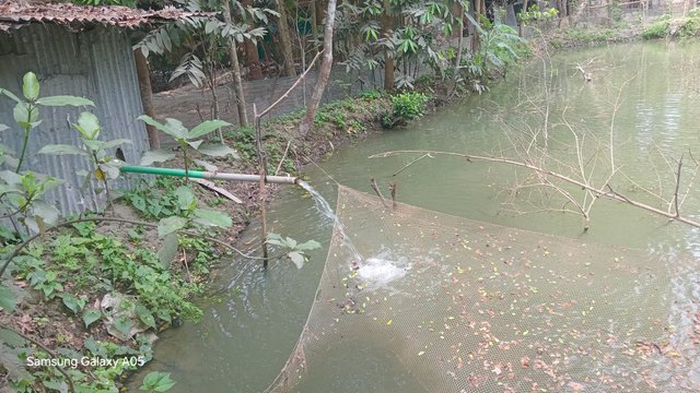 20250331_113324.jpg