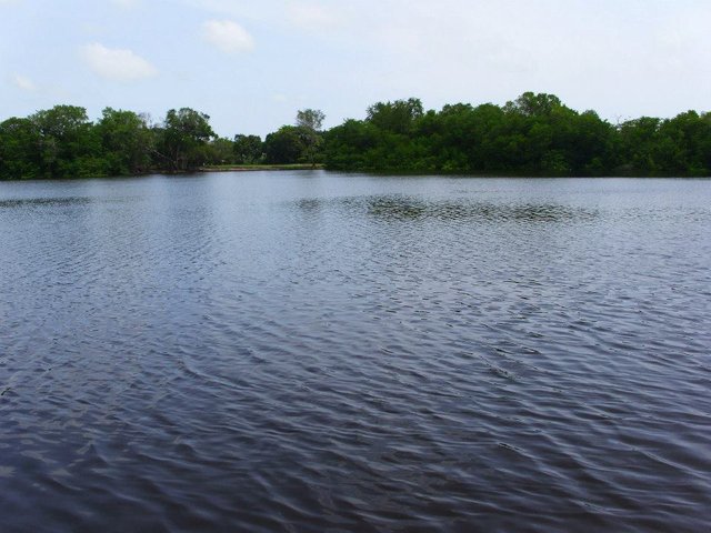 190106_4499656848678_650326837_n (1).jpg