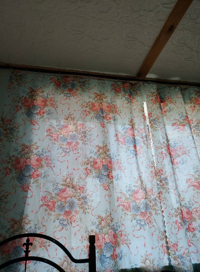 IMG_8600.jpeg