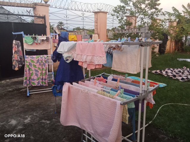 IMG20250510184032.jpg