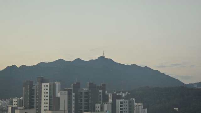 1000143264.jpg