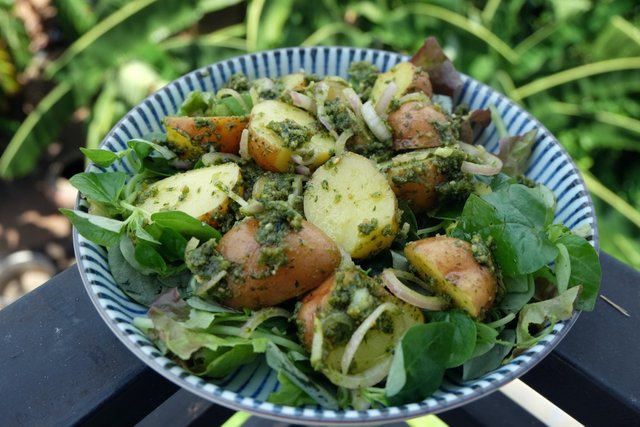 Vegan-Pesto-Potato-Salad-4.jpg