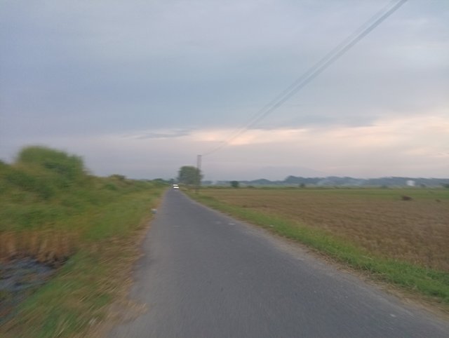 IMG_20250623_183943.jpg