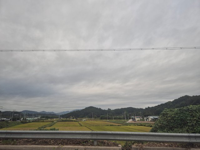 1000108236.jpg