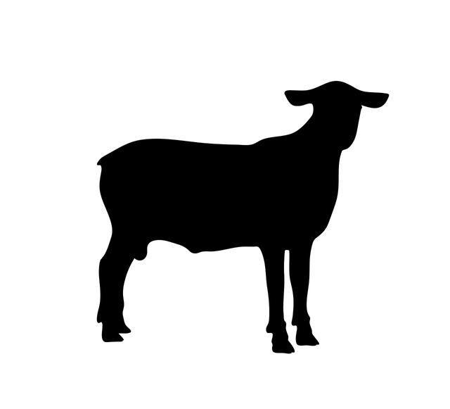 sheep-g23c1a94e8_1280.png