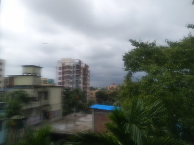 IMG_20200608_133623.jpg
