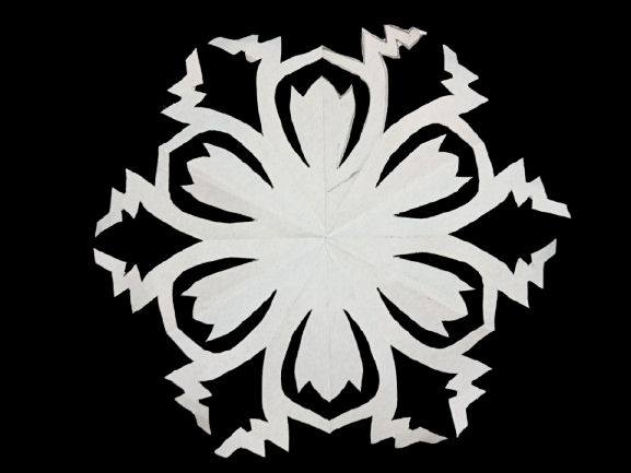 1000031291.png