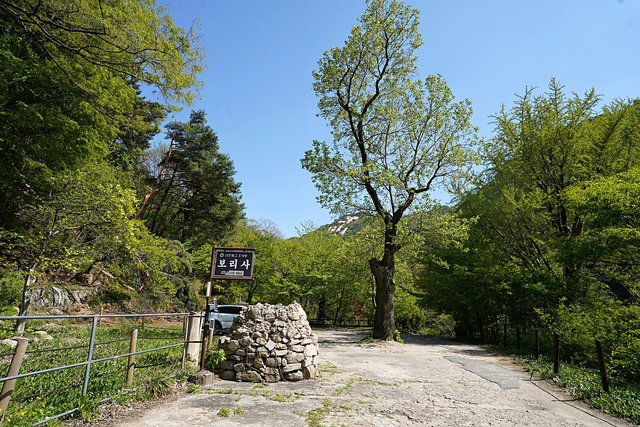 DSC08797.JPG