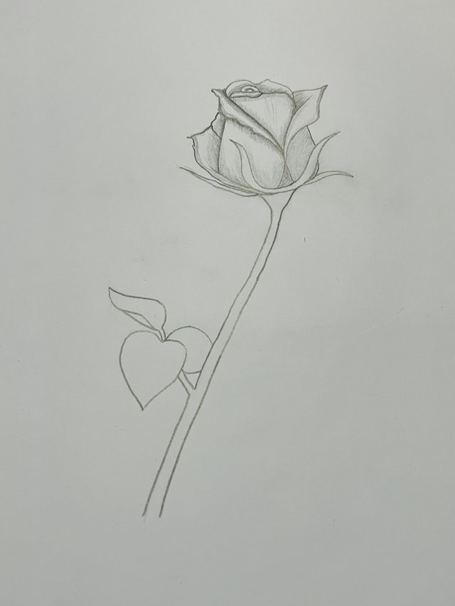 IMG_1108.jpeg