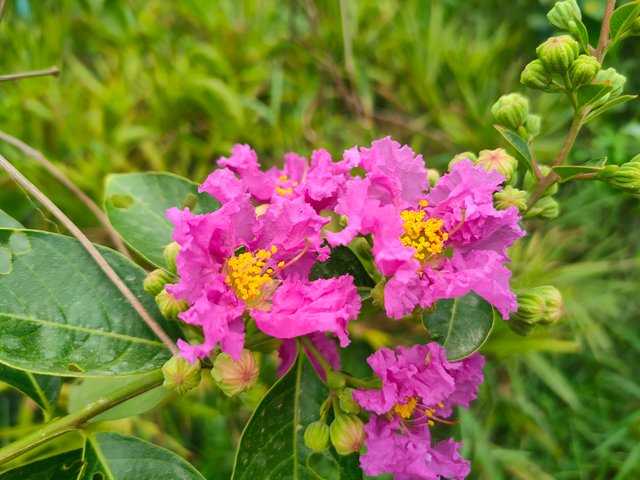 IMG20240708083153.jpg
