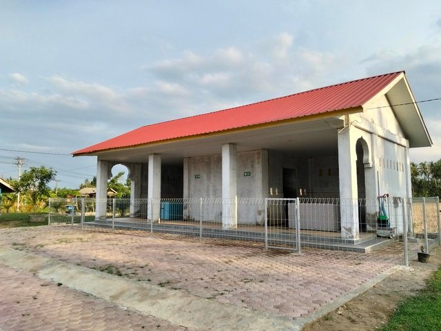4629.jpg