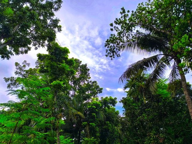 IMG_20250710_175758.
