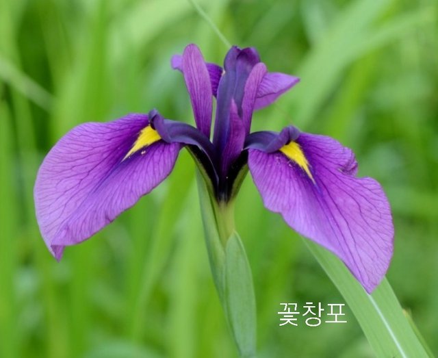 SmartSelect_20210614-110007_Chrome.jpg