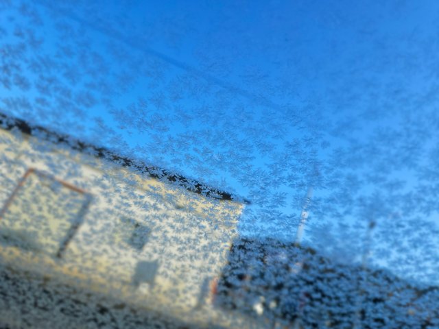 20240302_082427.jpg