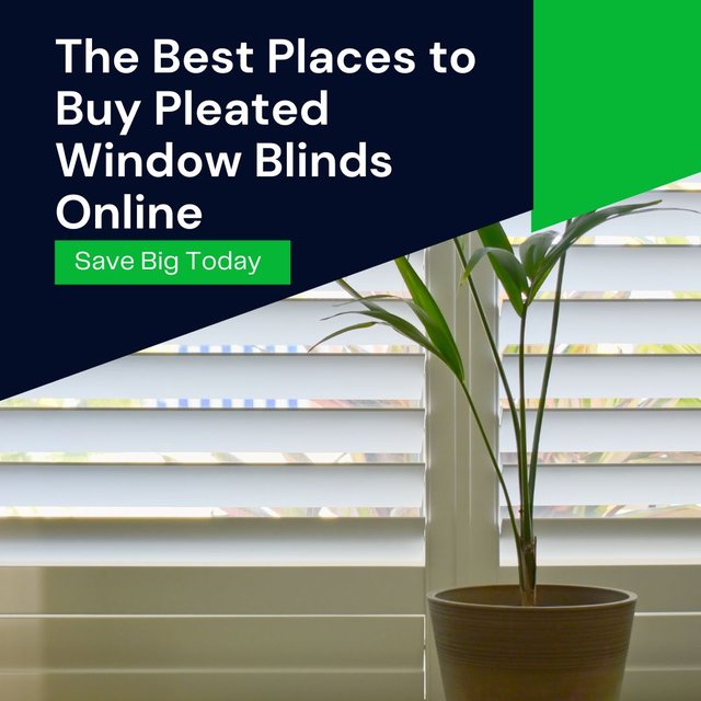 The Best Places to Buy Pleated Window Blinds Online Save Big Today!.jpg