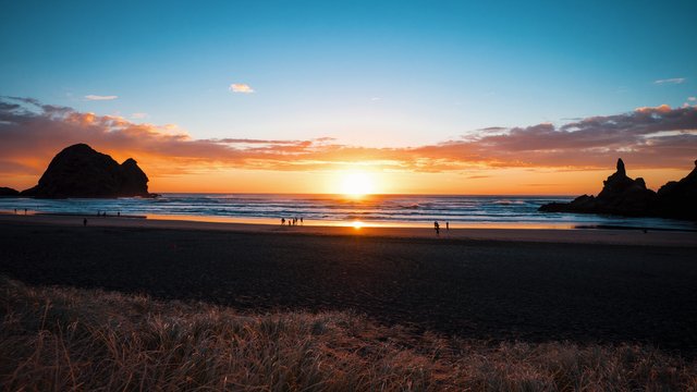 Photo Series And Story Piha New Zealand Steemit