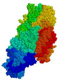 Transglutaminase.jpg