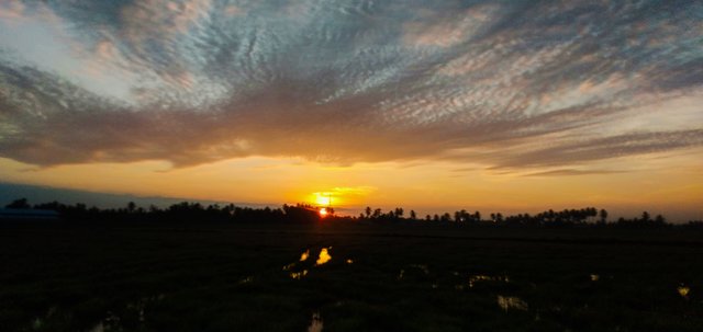 PSX_20210216_074908.jpg
