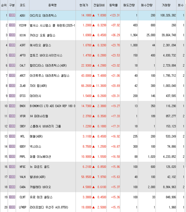 12월16일 미국주식 상승률 TOP 300.PNG