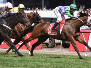 gettyimages-michelle-payne-riding-melbourne-cup.jpg