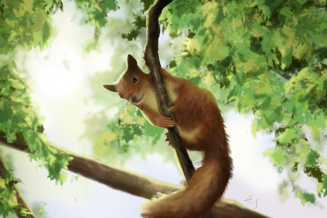 Etude ecureuil arbre.png