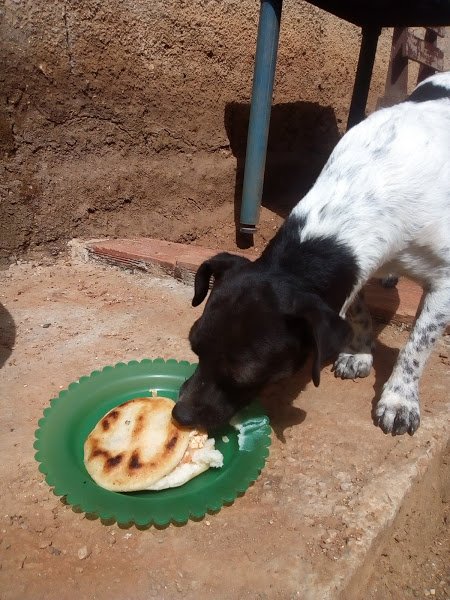 desayuno16.jpg