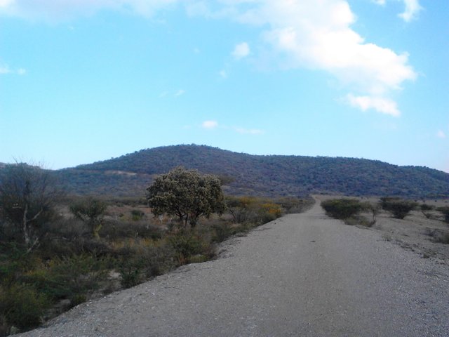 cerro LA ESP..jpg