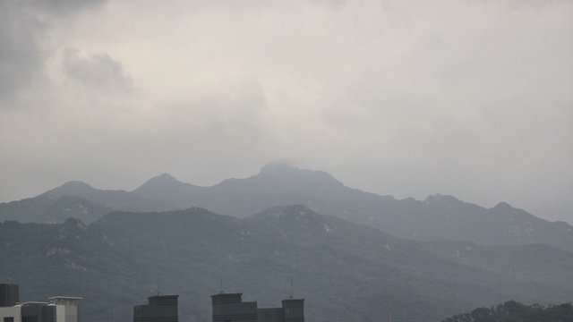 1000129416.jpg
