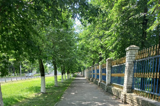 1000041019.jpg
