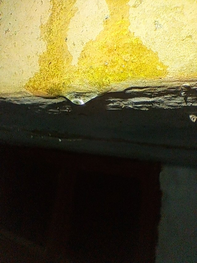 20250609_173114.jpg