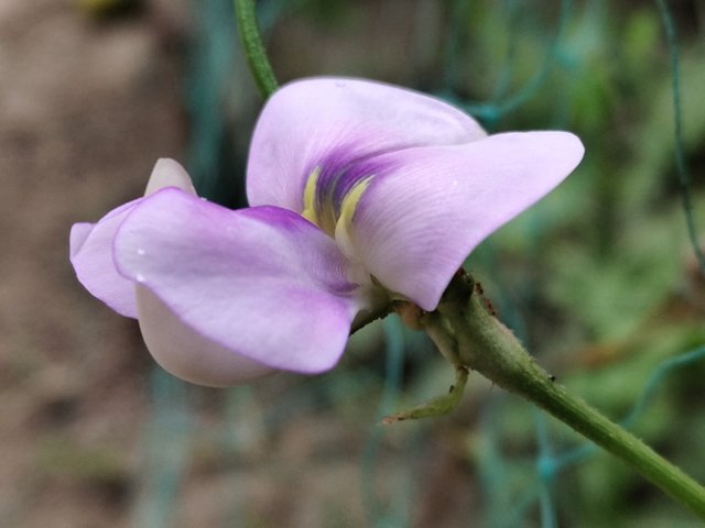 IMG_20250318_081925.jpg