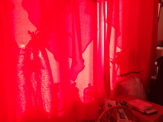 20250907_081314.jpg