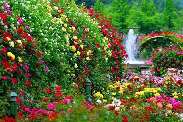 flower-garden-park-nature-bridge-beautiful-green-fountain-outdoor-flowers-plants-roses-floral-wallpapers-hd.jpg