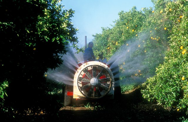 CSIRO_ScienceImage_4314_Spraying_oranges_in_an_orchard_at_Griffith_NSW_2002.jpg