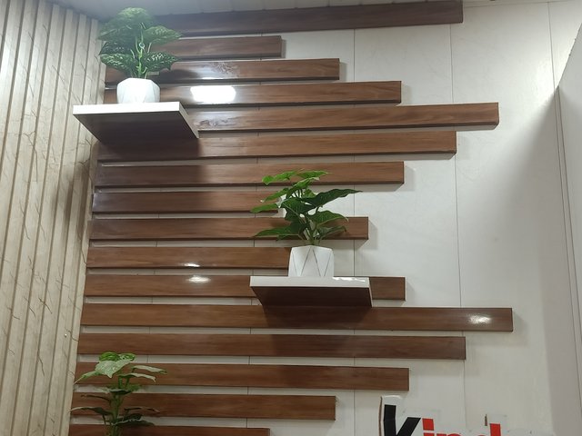 IMG20250506220432.jpg