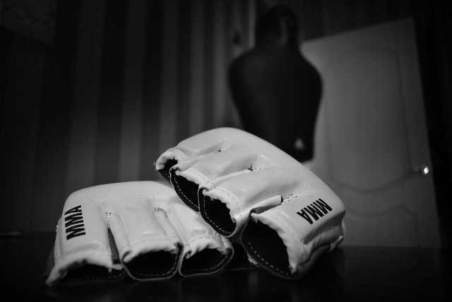 Gloves in fighting.jpg