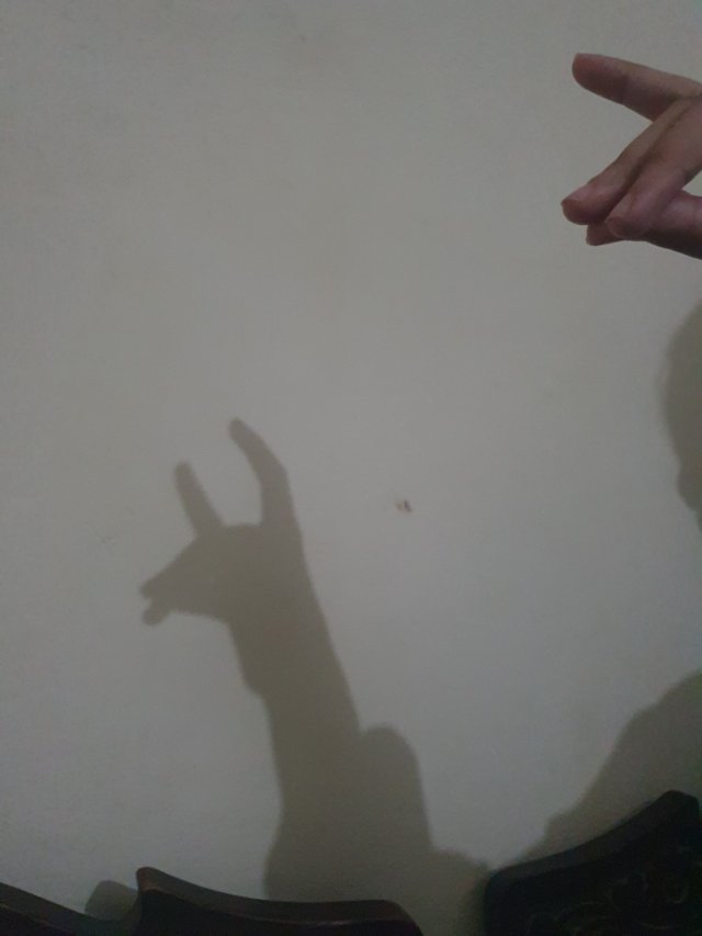 20250625_135217.jpg