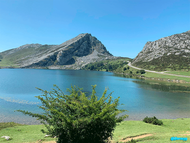 Lagos-de-Covadonga-3.png