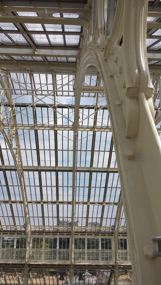 temperate glass roof.jpg