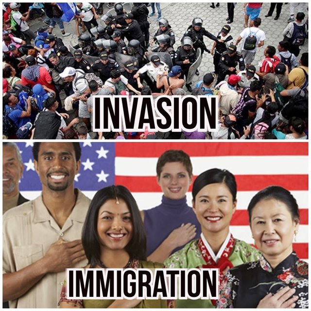 Invasion vs Immigration Dp-JGV4XcAEIbpM.jpeg