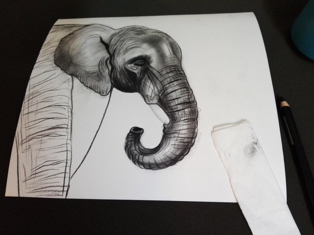 Elephant(364).jpg