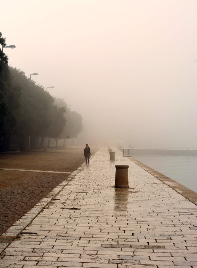 Fog_series05.JPG