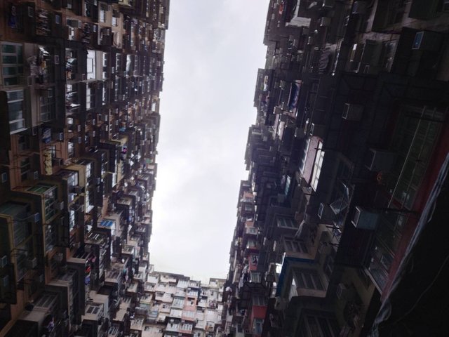 Hong Kong16.jpg