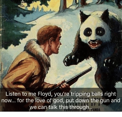 listen-to-me-floyd-youre-tripping-balls-right-now-for-28240472.png