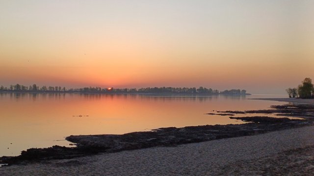 20250422_054918.jpg