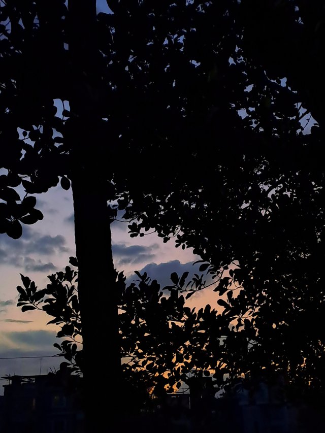 20250625_190733.jpg